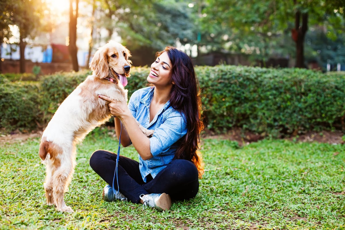 How to Start a Side Hustle By Turning Your Home Into a Dog Park