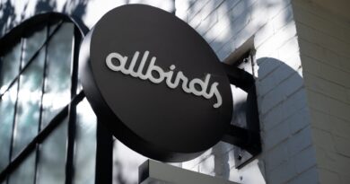 Retail traders pile into Allbirds after odd AI pivot. History shows it won’t end well