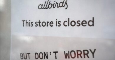 Allbirds AI Pivot Draws Skepticism From Investing Pros