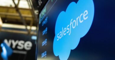 Software Stocks Bounce Back, but It Might Not Last, Analysts Warn