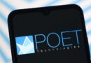 POET Technologies Is the Latest Meme Stock. a Short-Seller Unpacks His View.